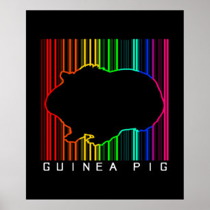 Affiche Cochon de Guinée coloré Mignonne Guinée Lover