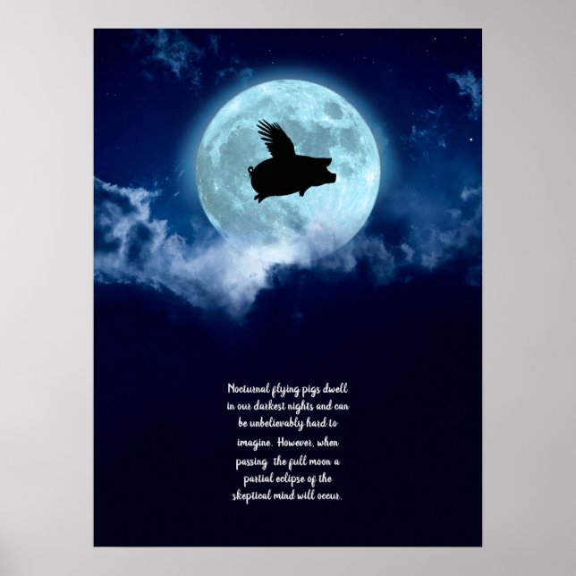 Affiche Cochon volant nocturne (Devant)