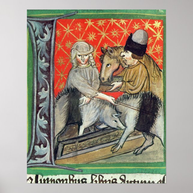 Affiche Cochons d'élevage et chevaux (Devant)