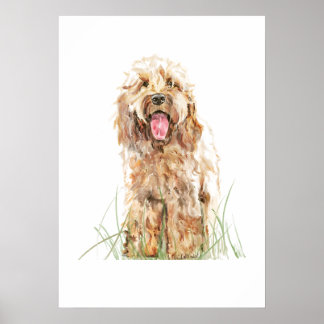Affiche Cockapoo Dog Poster, Watercolor Wall Art
