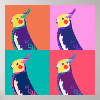 Affiche Cockatiel Pop Art