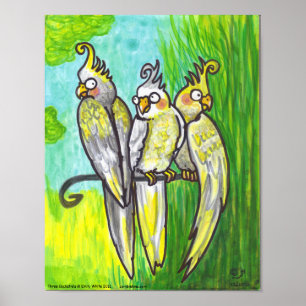 Affiche Cockatiels 3 Cartoon Oiseaux à pois bas art