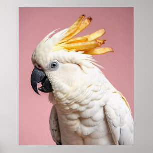 Affiche Cockatoo Drôle Avec Crest Fries Français