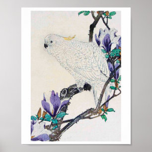 Affiche Cockatoo et Lily Magnolia, Imao Keinen