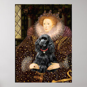 Affiche Cocker (noir) - Reine