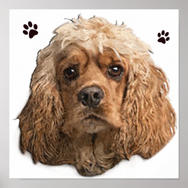 Affiche Cocker Spaniel (Devant)