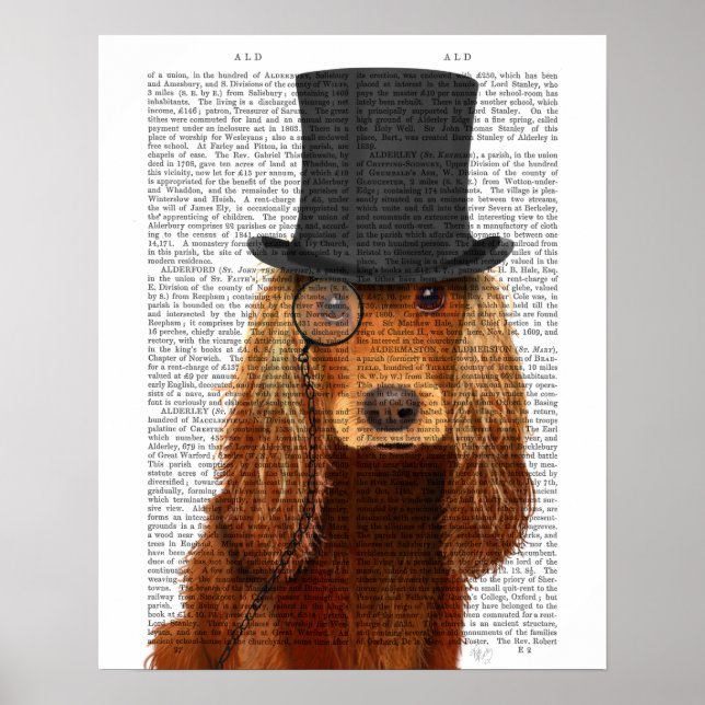 Affiche Cocker Spaniel, Hound officiel et Casquette (Devant)