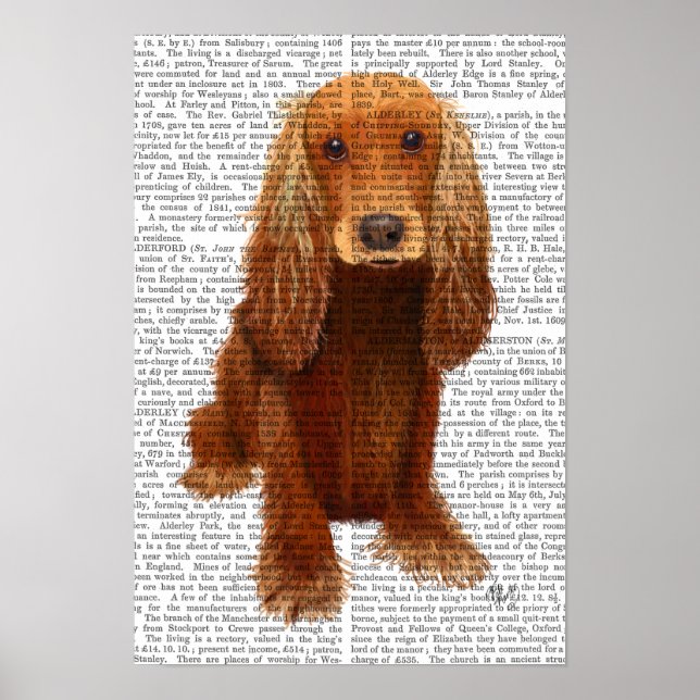 Affiche Cocker Spaniel Plain (Devant)