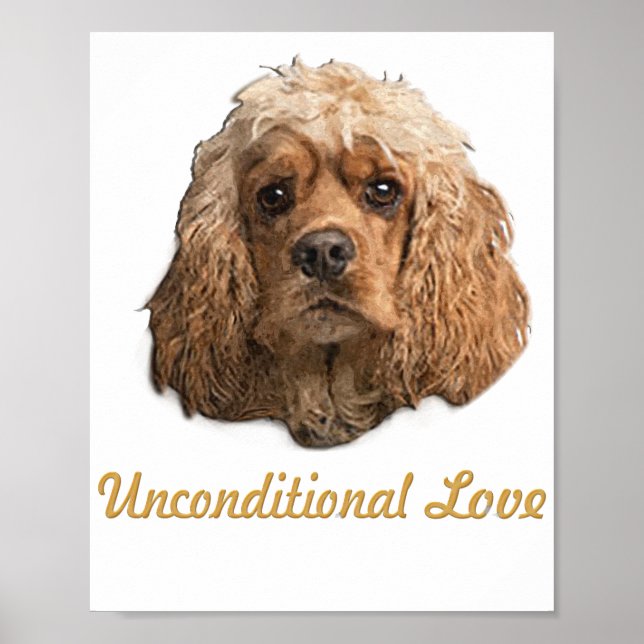 Affiche cocker Spaniels (Devant)