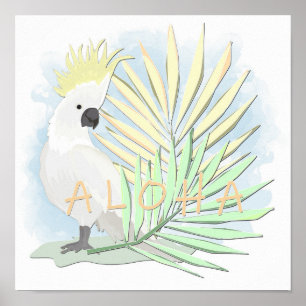 Affiche Coco de perroquet blanc en feuille de palmiers.