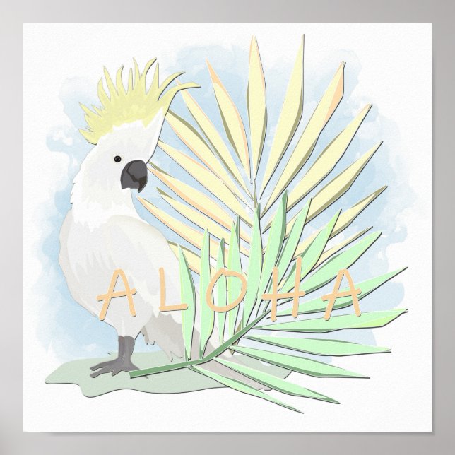 Affiche Coco de perroquet blanc en feuille de palmiers. (Devant)