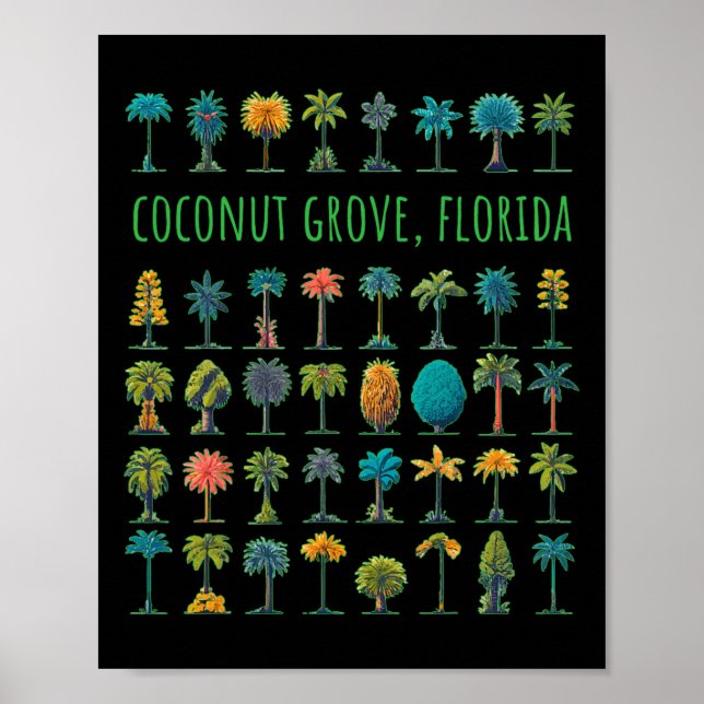 Affiche Coconut Grove Floride (Devant)