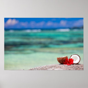 Affiche Coconut with tropical flower on exotic coast