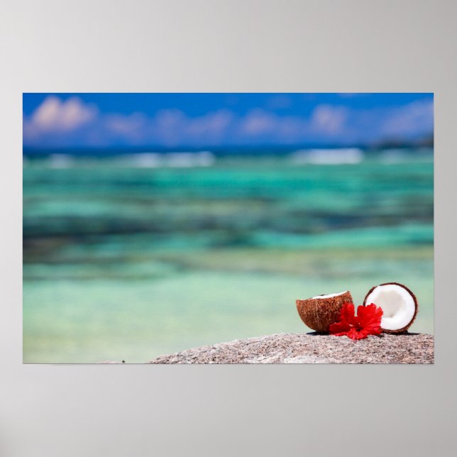Affiche Coconut with tropical flower on exotic coast (Devant)