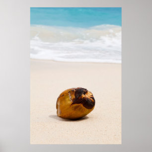 Affiche Cocotier sur une plage tropicale