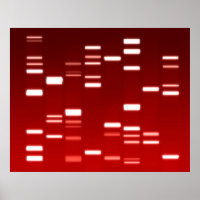 Code génétique ADN rouge