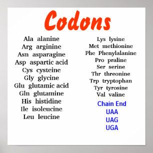 Affiche Codons