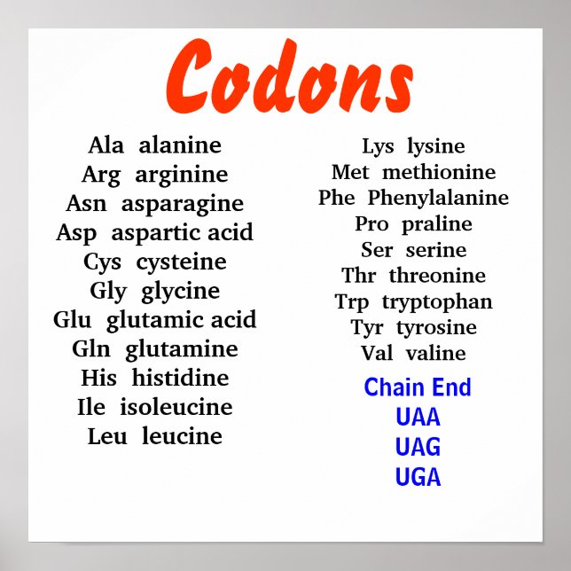 Affiche Codons (Devant)