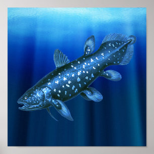 Affiche Coelacanth