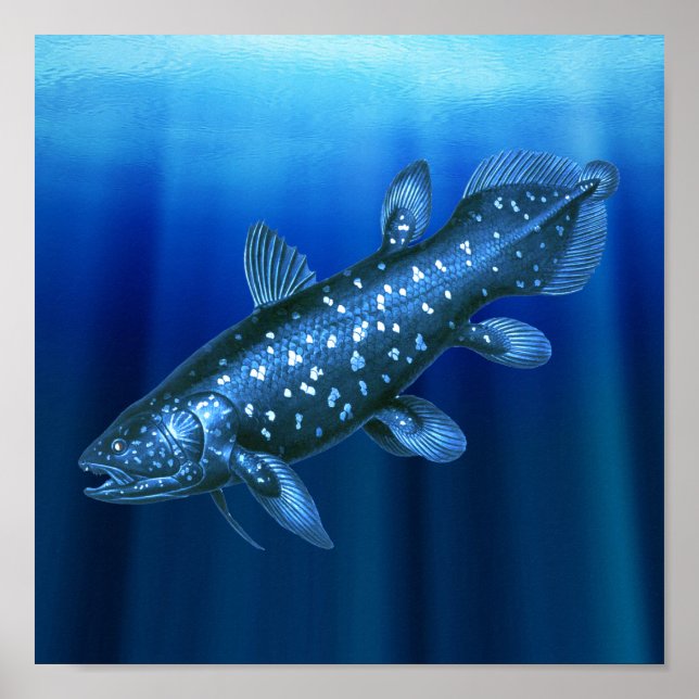 Affiche Coelacanth (Devant)