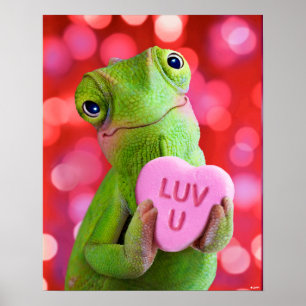 Affiche Cœur de Caméléon (Amour toi)