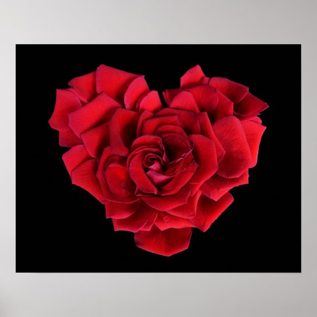 Affiche Cœur de rose rouge sur fond noir (Devant)