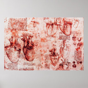 Affiche Cœur et ses vaisseaux sanguins Léonard de Vinci, R