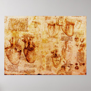 Affiche Coeur Et Ses Vaisseaux Sanitaires, Brown
