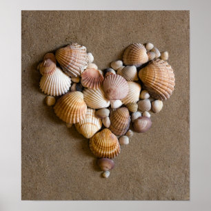 Affiche Coeur Saint Valentin fait avec des coquilles
