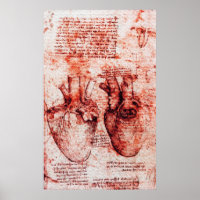 Coeur, Ses vaisseaux sanguins, Léonard De Vinci Ro