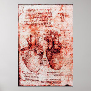 Affiche Cœur, Ses vaisseaux sanguins, Léonard de Vinci Rou