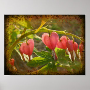 Affiche Coeurs saignants