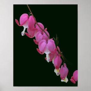 Affiche Coeurs saignants roses Fleur