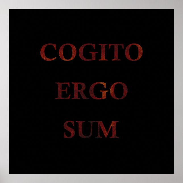 Affiche Cogito (Devant)