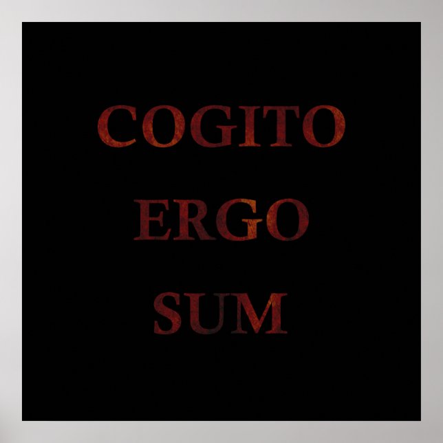 Affiche Cogito ergo sum (Devant)