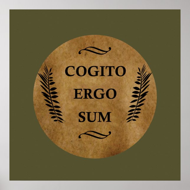 Affiche Cogito ergo sum (Devant)