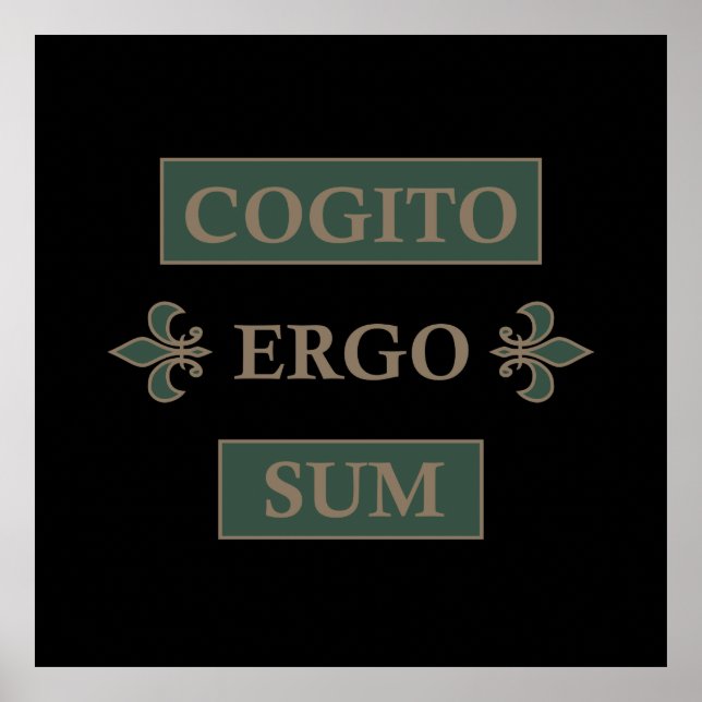 Affiche cogito ergo sum, expression latine (Devant)