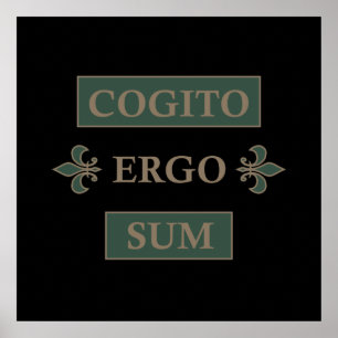 Affiche cogito ergo sum, phrase latine