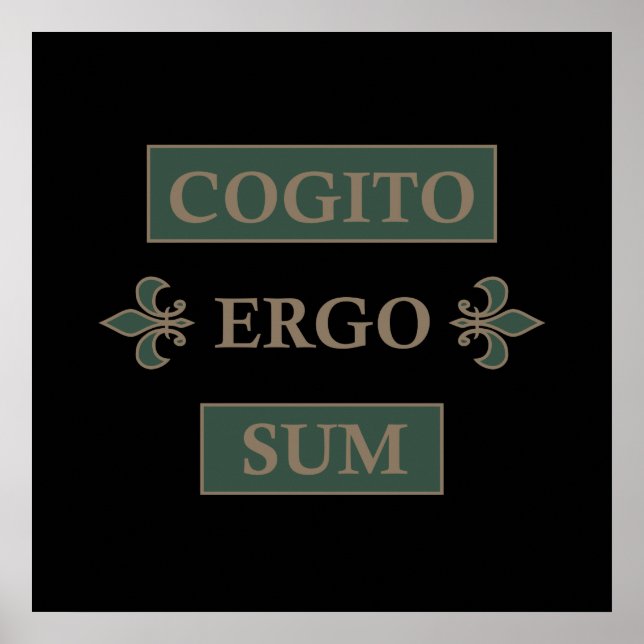 Affiche cogito ergo sum, phrase latine (Devant)