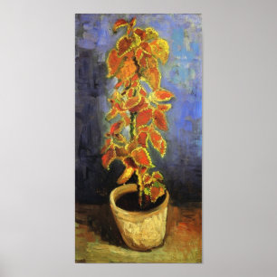 Affiche Coleus Plante dans un pot de fleurs Van Gogh Art