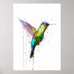Affiche Colibri