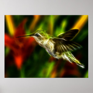 Affiche Colibri