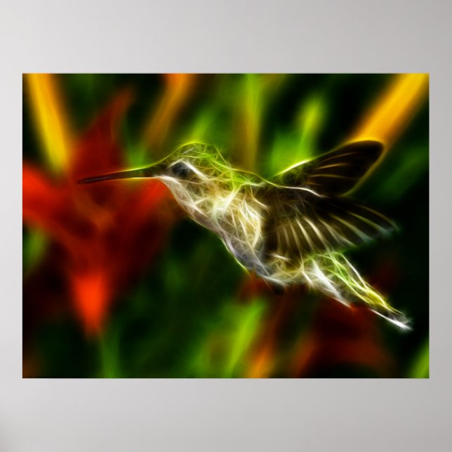 Affiche Colibri (Devant)