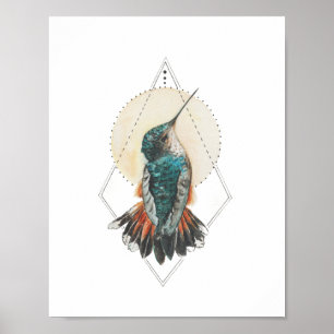 Affiche Colibri
