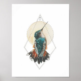 Affiche Colibri