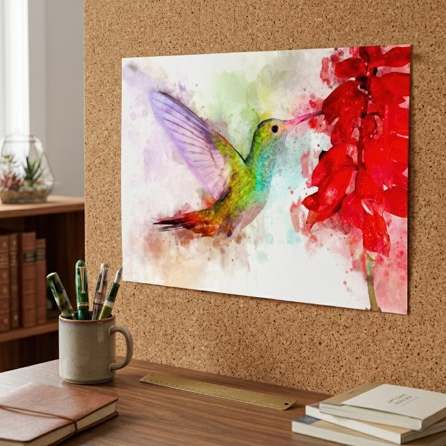 Affiche Colibri à l'aquarelle se nourrissant de fleur roug (Watercolor Hummingbird Feeding on Red Flower. Poster)