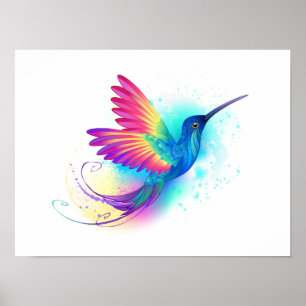 Affiche Colibri arc-en-ciel exotique