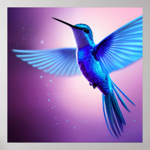 Affiche Colibri bleu