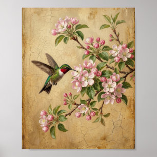 Affiche Colibri botanique de printemps I