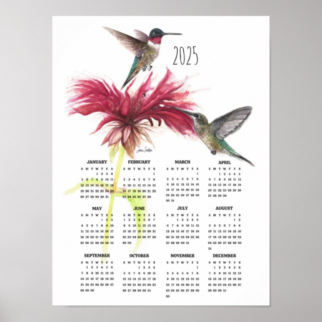Affiche Colibri Couple 2025  (Devant)